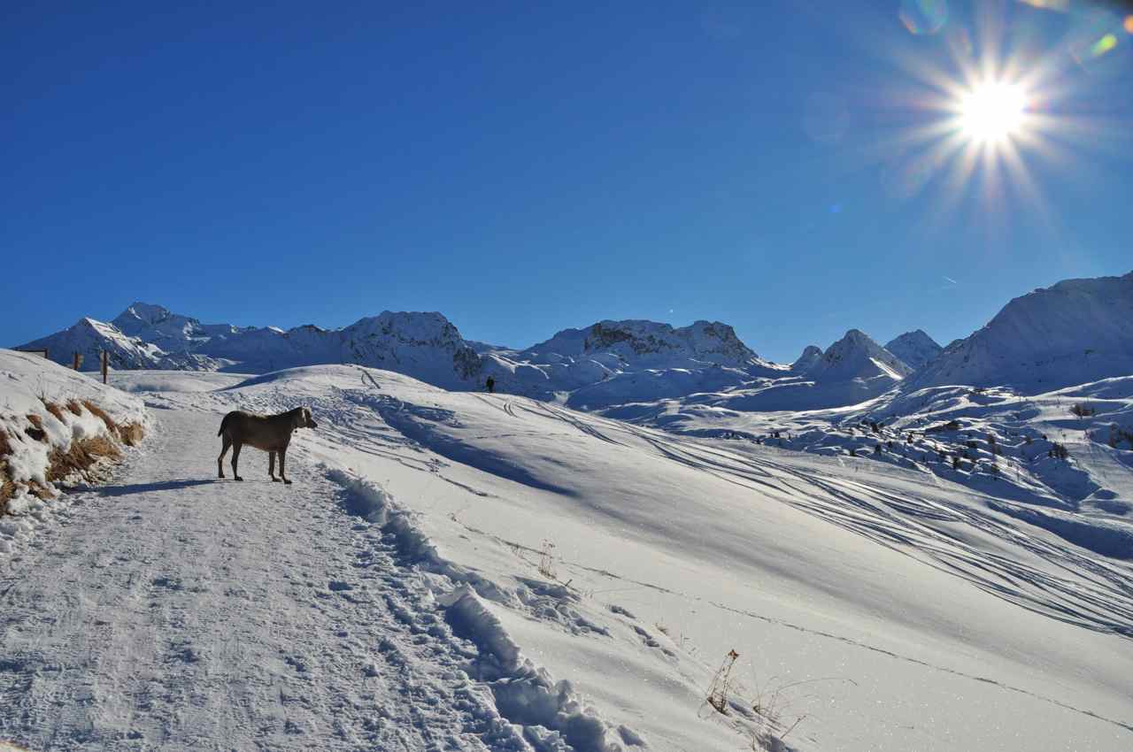 La Plagne